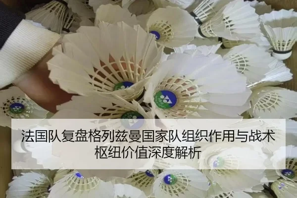 法国队复盘格列兹曼国家队组织作用与战术枢纽价值深度解析